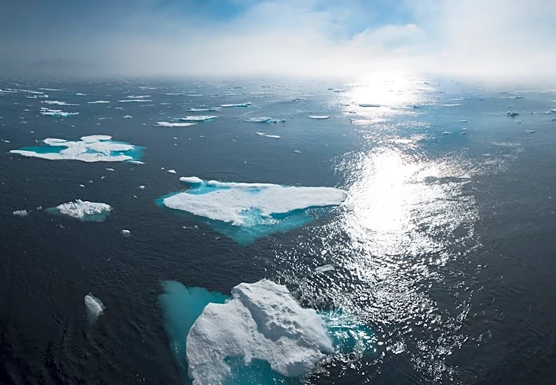 How an Atlantic Current Collapse Could Impact Global Food Security