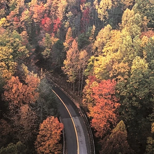 Fall Foliage Forecasts and Trackers for U.S. Leaf-Peeping Trips