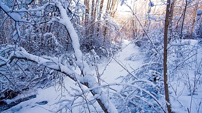 NOAA Predicts Warmer Winter for Upper Midwest Amid Strong El Niño