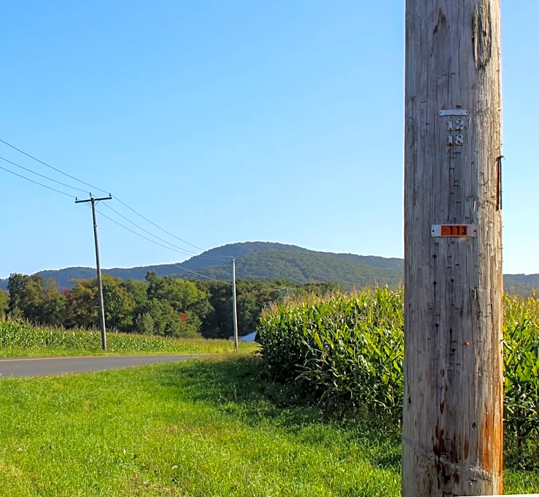Cool and Clear Weather Expected in Western Massachusetts