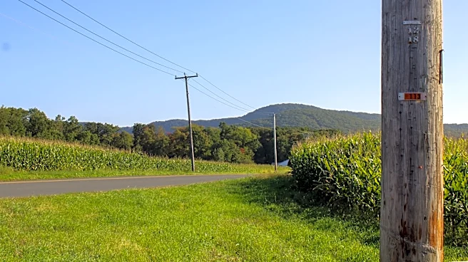 Cool and Clear Weather Expected in Western Massachusetts