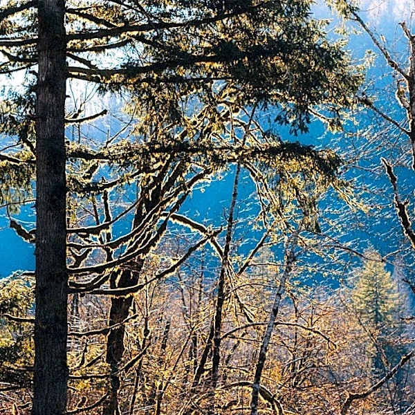 Warmer, Drier Week Ahead for Tillamook County