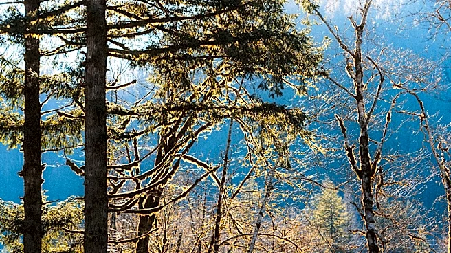 Warmer, Drier Week Ahead for Tillamook County