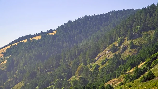 Red Flag Warning Issued for Northern California Due to Wind and Low Humidity
