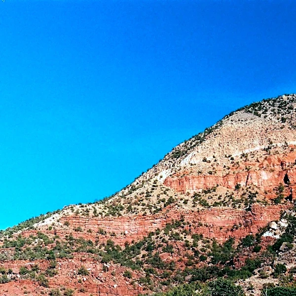 Prolonged drought impacts leaf-peeping season in the Mountain West