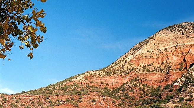 Prolonged drought impacts leaf-peeping season in the Mountain West