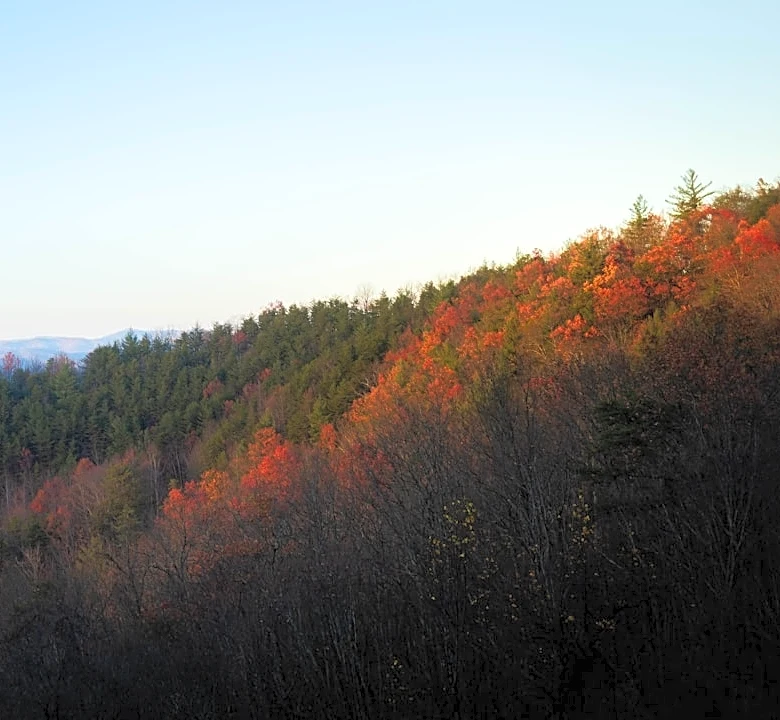 Fall foliage peaks expected late October in Tennessee