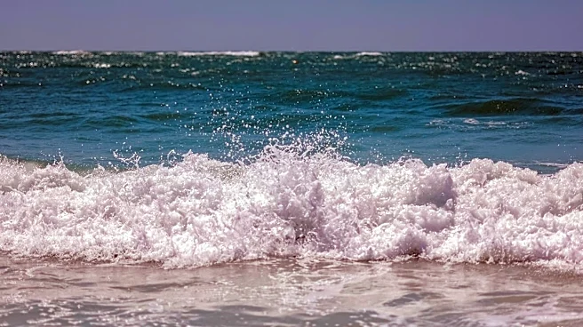 Tide Predictions for Indian Rocks Beach, Florida, Highlight Variability