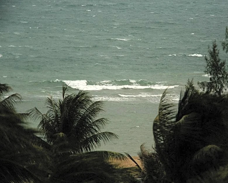 Odalys Could Form as Norbert Weakens in the Pacific