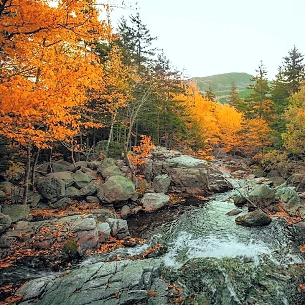 How to Enjoy Fall in US National Parks
