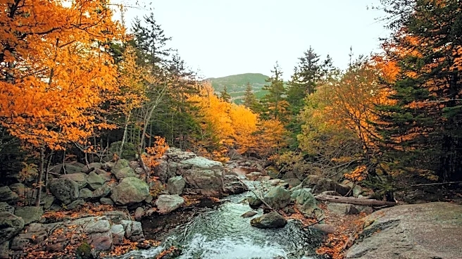 How to Enjoy Fall in US National Parks