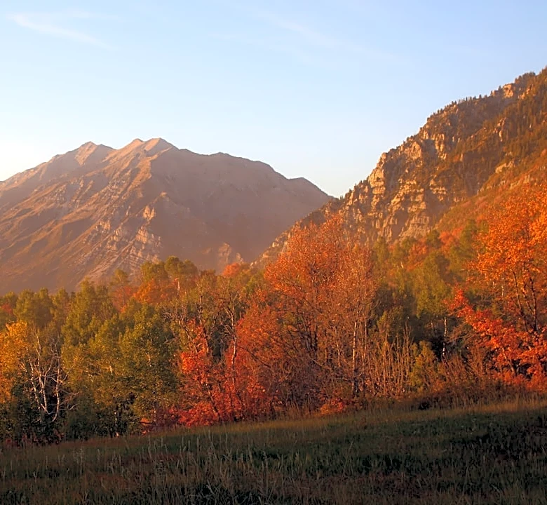 Peak fall foliage delayed in Appalachians due to El Niño