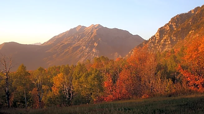 Peak fall foliage delayed in Appalachians due to El Niño