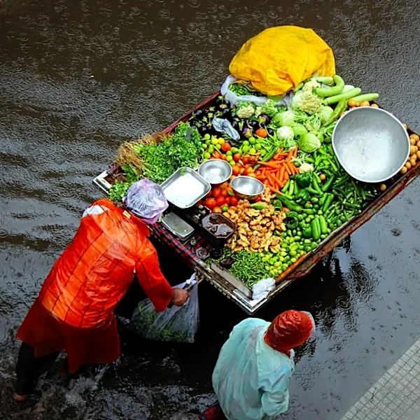 El Niño disrupts global weather and food supplies
