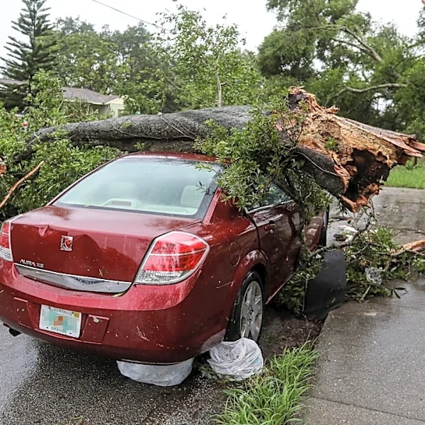 Kaua‘i recovers from Hurricane Lowell’s aftermath