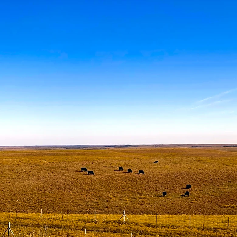 Super El Niño to bring mild winter to Midwest