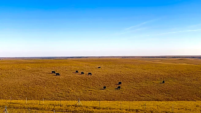 Super El Niño to bring mild winter to Midwest