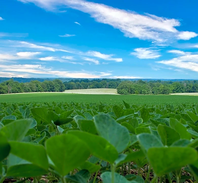 Free Soil Sampling Program Launched for Indiana Farmers