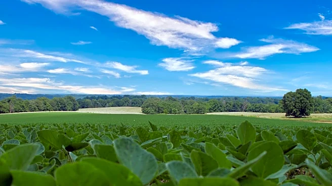 Free Soil Sampling Program Launched for Indiana Farmers