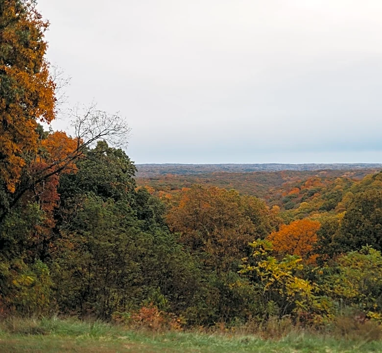 Muted fall colors expected in Nashville this year