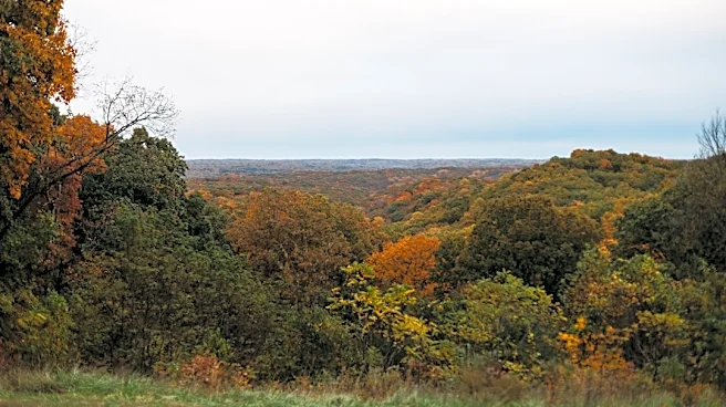 Muted fall colors expected in Nashville this year