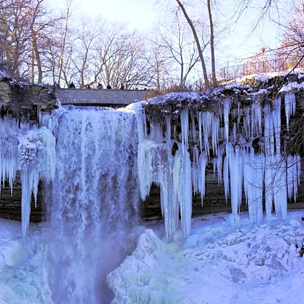 Minnesota's first frost dates revealed for 2026
