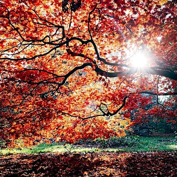 Central U.S. sees sharp temperature divide