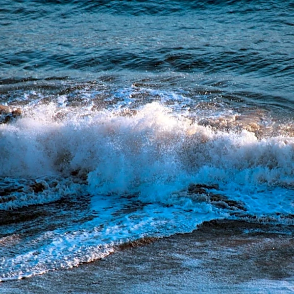 Calm winds and moderate seas forecast for Virginia coast