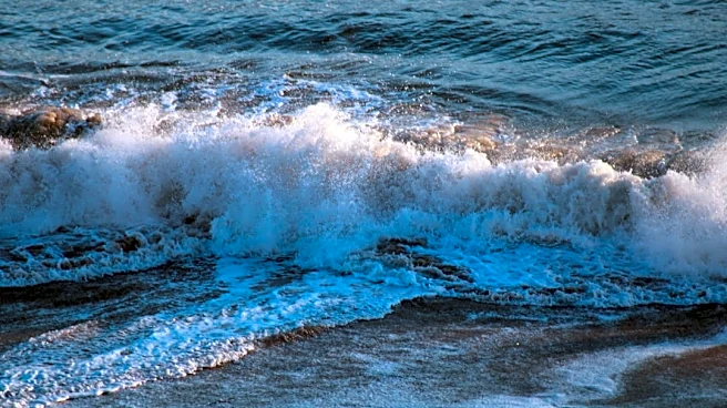 Calm winds and moderate seas forecast for Virginia coast