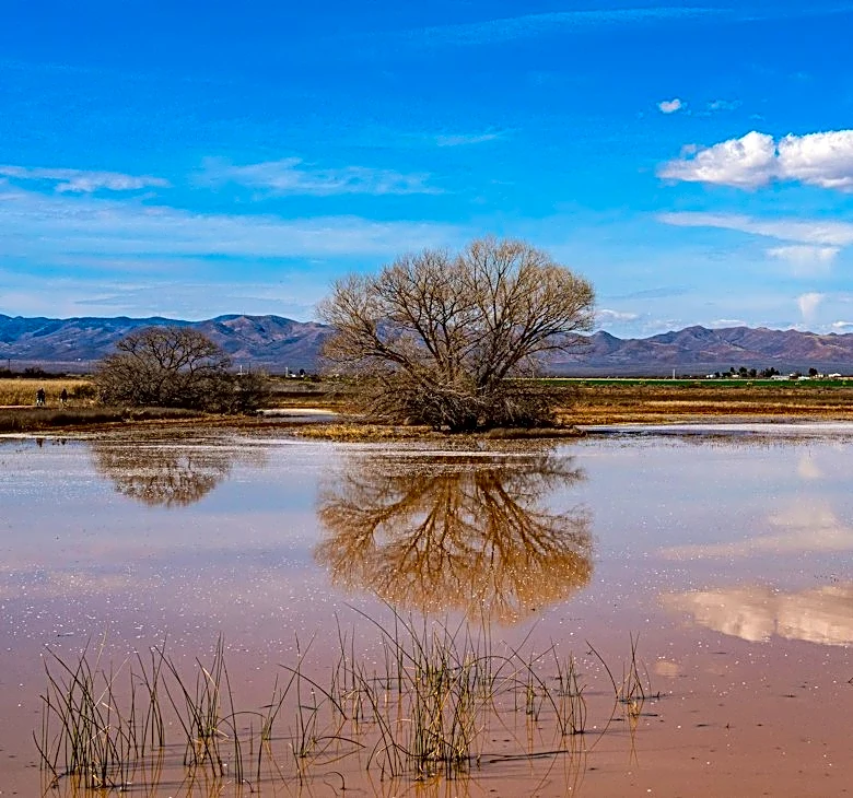Southwest flood risk rises under heat dome conditions