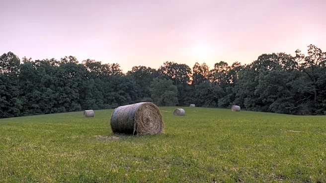 Heat Dome Keeps Kentucky Hot, Relief Expected Soon