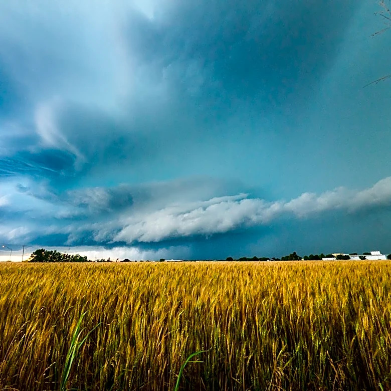 Oklahoma Faces Severe Drought Impacting Agriculture