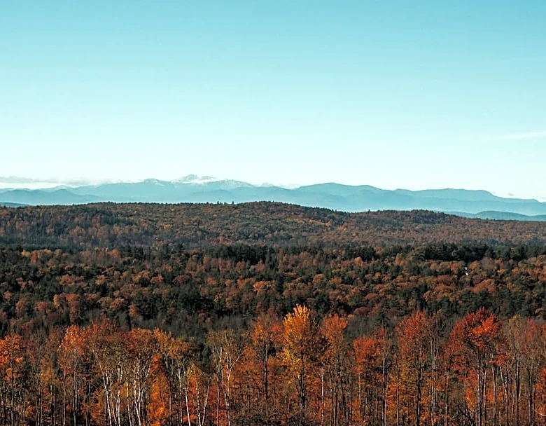 Maine Fall Foliage Season Begins with Low Color Change