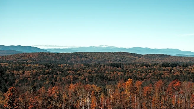 Maine Fall Foliage Season Begins with Low Color Change
