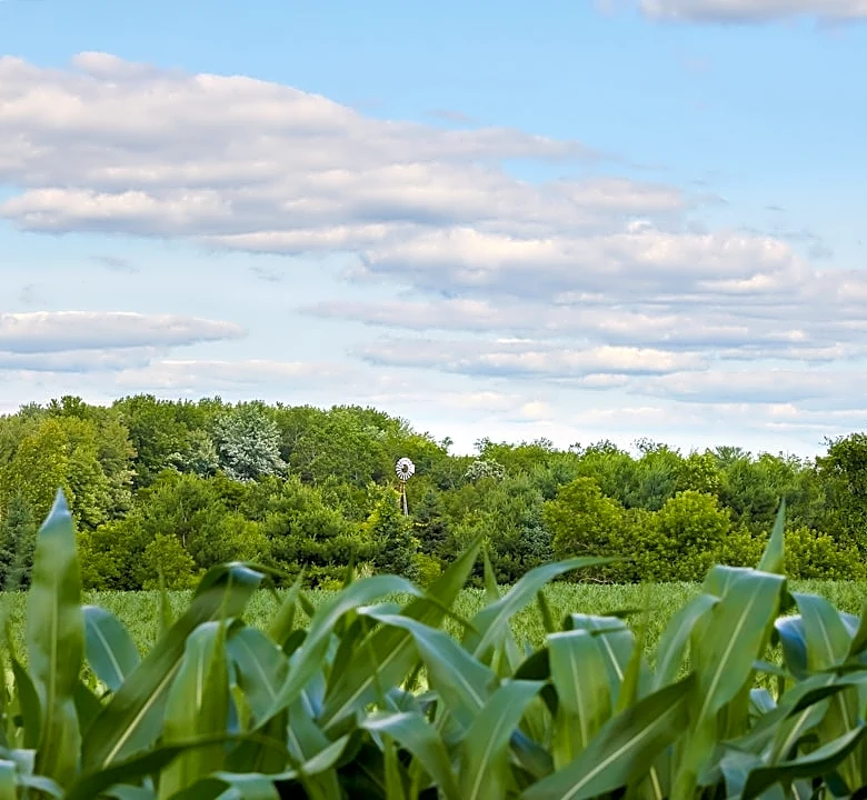 Wisconsin Farmer Adapts to Drought with Regenerative Practices