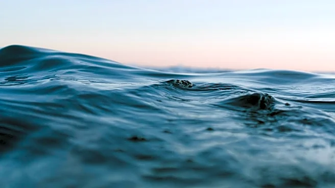Global Ocean Temperatures Hit Record High Amid El Niño