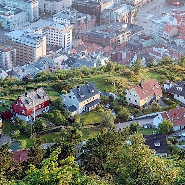 Brooklyn Tests Green Roofs to Combat Heat, Flooding