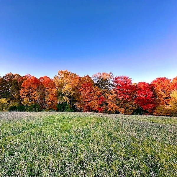 Wisconsin Sees Above-Normal Growing Degree Days