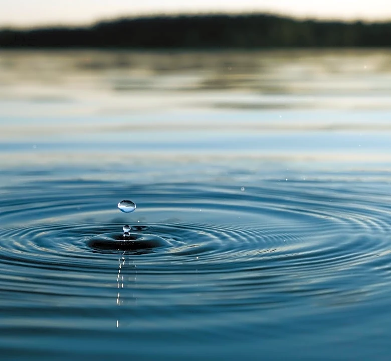 How Changes in the Water Cycle Impact Our Planet