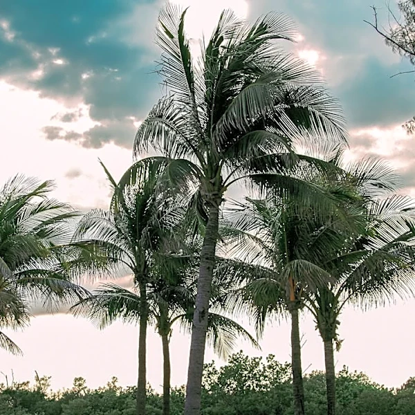 100 Years Since the Great Miami Hurricane