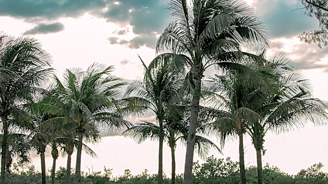 100 Years Since the Great Miami Hurricane