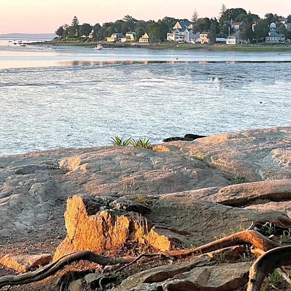 Coastal Cleanup Day Set for 60 Sites This Saturday