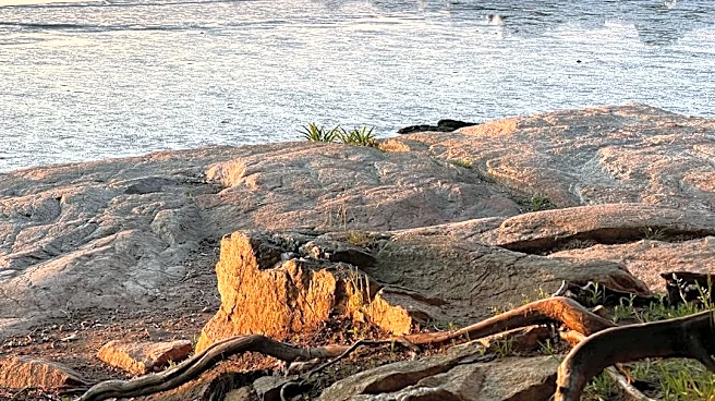 Coastal Cleanup Day Set for 60 Sites This Saturday