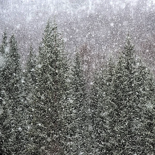 NOAA Predicts Wetter Winter for Southern U.S.