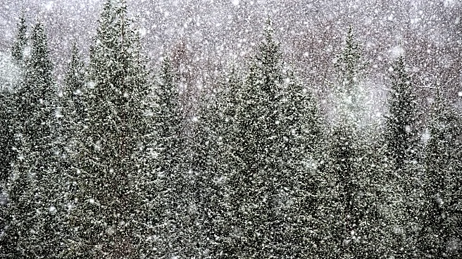 NOAA Predicts Wetter Winter for Southern U.S.