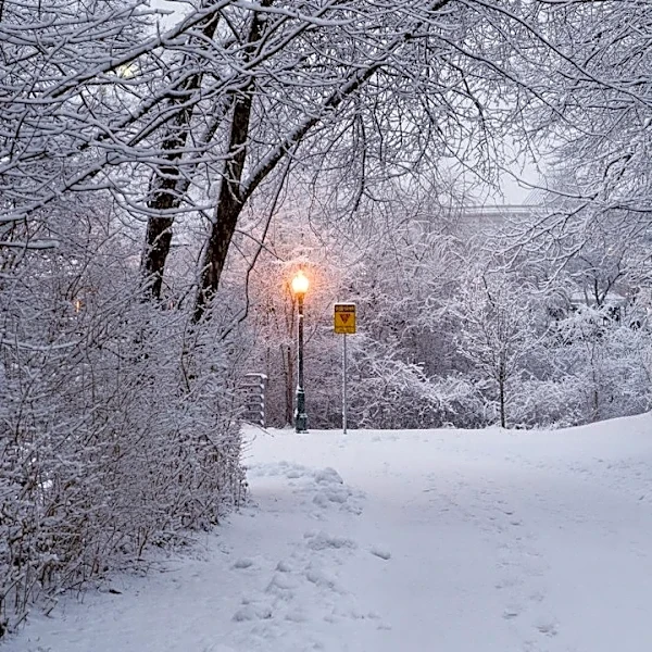 Rochester's First Snowfall Likely Around November 8