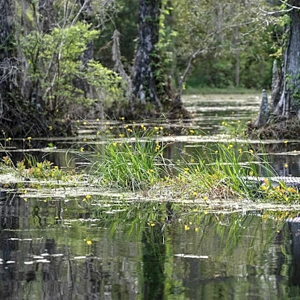 Drought Conditions Worsen Across the Southeastern United States