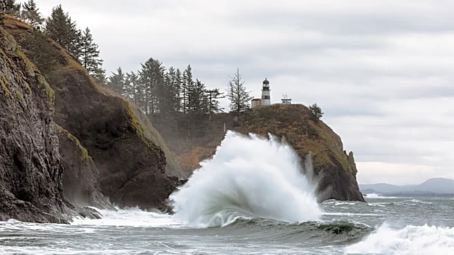 90% Chance of Strong El Niño This Winter