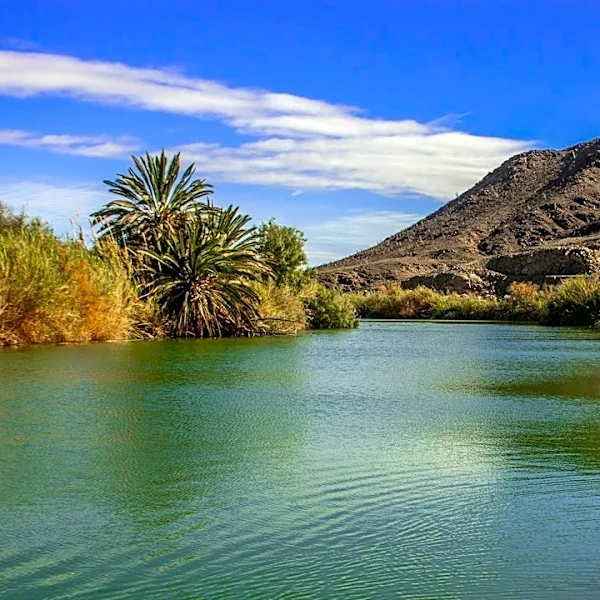 Arizona Faces Major Colorado River Water Cuts