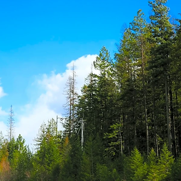 Red Flag Warning for Idaho and Oregon: Lightning, Winds